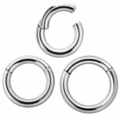 Titan Intimo Orecchio Piercing Gioiello Segmento Liscio Anello Click Cerniera IN - Immagine 1 di 4