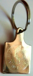 Alcoholics Anonymous AA Key Chain 90 Days 3 month Sobriety Chip Key Ring - Picture 1 of 11