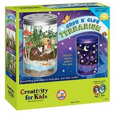 Grow 'N Glow Terrarium Science Educational Kit by Creativity for Kids