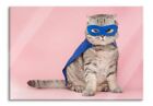 Süße Katze im Superheldenkostüm Glasbild aus Echtglas, inkl. Wandhalterung