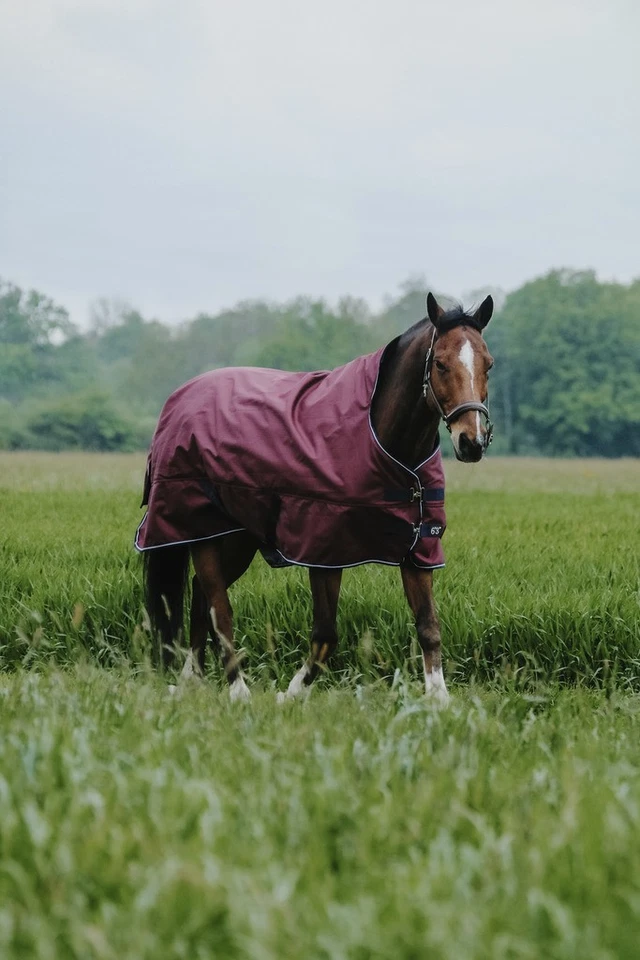 Equithéme Tyrex 1200D Outdoordecke 150gr Highneck bordeaux rot Regendecke - Bild 1 von 3