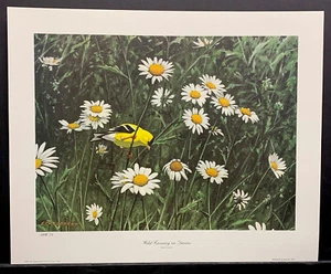 Don Richard Eckelberry Limited Edition Signed Print “Wild Canary In Daises” - Picture 1 of 1