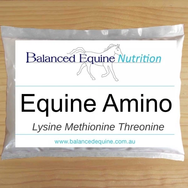 Equine Amino - image 1 of 1