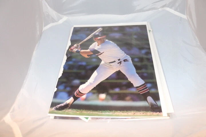 Foto recortada de Carlton Fisk Chicago White Sox de aproximadamente 8x10 Foto 1 de 1