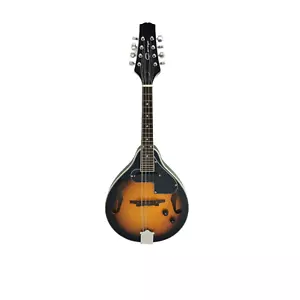 Caraya A-Shape Electric Mandolin,EQ, F-holes, Sunburst + Free Gig Bag. MA001EBS - Picture 1 of 13