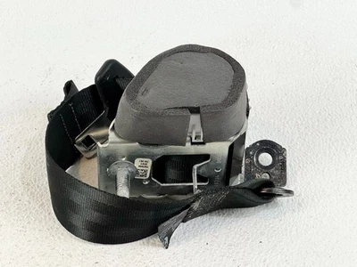 13-18 FORD C-MAX TRASERO DERECHO PASO DERECHO LADO CINTURÓN DE SEGURIDAD MONTAJE RETRÁCTIL OEM Foto 1 de 4