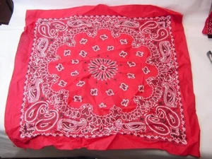 VTG HANDKERCHIEF 100% COTTON HAV-A-HANK MADE IN THE USA RN15187 - Picture 1 of 2