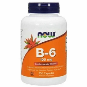 B-6 100 mg 250 capsule By Now Foods - Foto 1 di 1