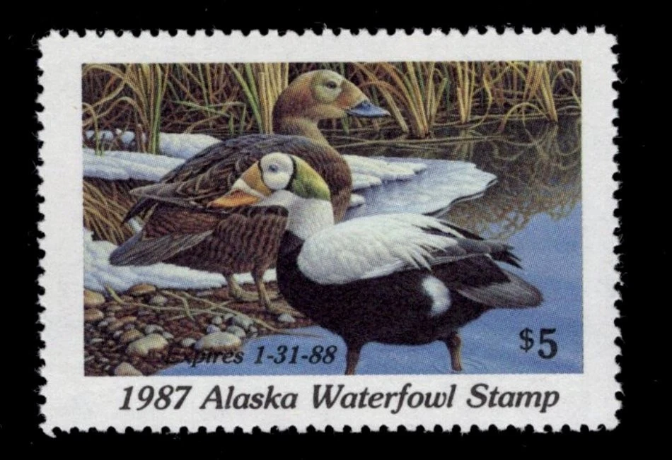 ALASKA STATE DUCK  #3-   MINT NEVER HINGED  -   -  SCV:  $10.00 - Image 1 of 1
