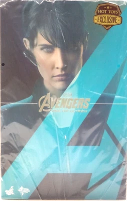 HOTTOYS PELÍCULA OBRA MAESTRA MMS305 AVENGERS AGE OF ULTRON MARIA HILL Japón NUEVO Foto 1 de 2
