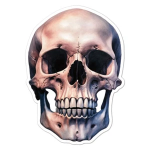 Calavera humana, pegatina de calcomanía de vinilo, interior exterior, 3 tamaños, #9975 - Imagen 1 de 1