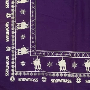 Vintage Snowmass Colorado 1980s Bandana Face Cover Ski Winter Sports Scarf Head - Picture 1 of 2