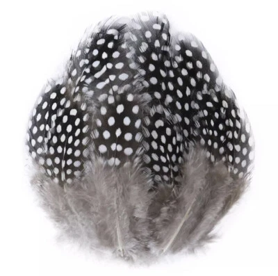 50pcs Natural Black White 4-12cm Guinea Fowl Feathers DIY Art Craft Millinery - Image 1 of 4
