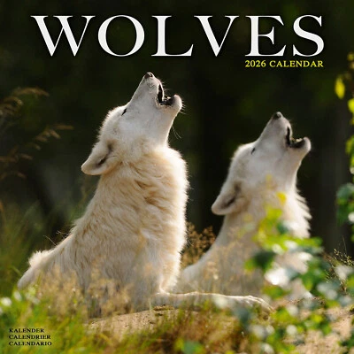 AVONSIDE PUBLISHING LTD Wolves 2026 Calendar Animal Gift Wall 15% OFF MULTI ORDERS