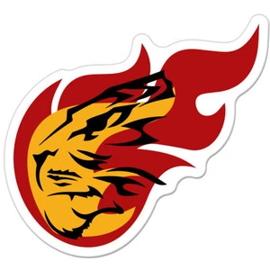 Tiger Flames Styling car bumper sticker decal 4" x 4" - Picture 1 of 1