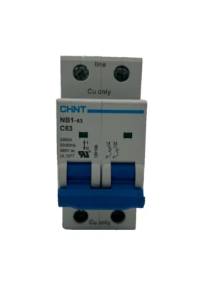 Chint CHNT NB1-63 C63 Circuit Breaker 2P