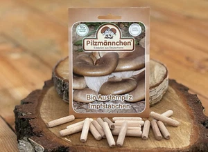 Austernpilz Impfstäbchen (20 Stück) , Pilzzucht auf Holz oder Stroh, Impfdübel - Bild 1 von 1