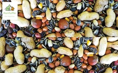12.75kg PREMIUM CHIPMUNK & SQUIRREL FOOD Hazelnuts Pine Nuts Raisins Peanuts Mix