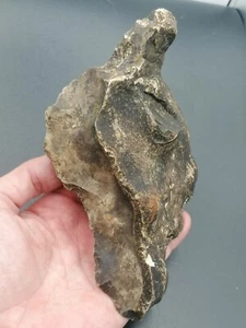 Lower Paleolithic Northern France Large Acheulean Scraper Knife Heidelbergensis - Picture 1 of 17