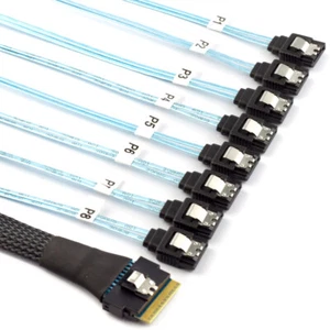 Slimline SAS 4.0 SFF-8654 8i 74pin Host Raid to 8 SATA 7pin Raid Cable 1-to-8 - Picture 1 of 9