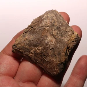 Dinosaur Rib Piece - Beautiful Fossil - Hell Creek Formation Cretaceous - Picture 1 of 10