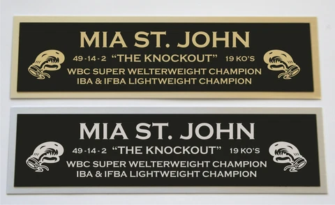 Mia St John nameplate for signed boxing gloves trunks photo or case Cover