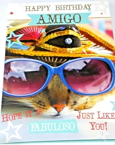 Happy Birthday Card. Amigo Cat Theme. Party Animal Range from Heartstring Cards. - Picture 1 of 3