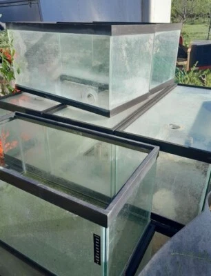 vendo muchos acuarios de 60 galones y acuarios de 25 galones Foto 1 de 3