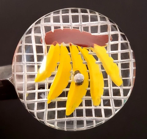 Vintage Button Lucite Bananas Back Carved Painted Grid Background Fruit 1&1/16" Cover
