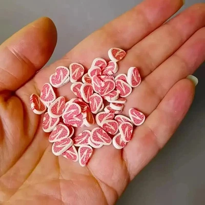 USAMINIATURE 20 pcs lot miniature pork chop meat slices dollhouse 1:12 scale clay