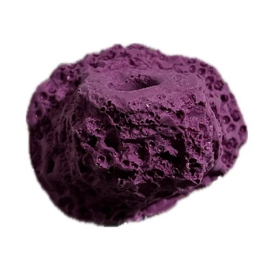 Estante magnético para fragmentos de coral de 1 agujero/roca de fragmentación para enchufes de coral vivo/acuario de arrecife Foto 1 de 4