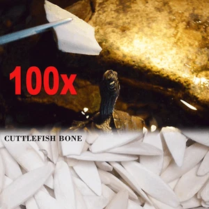 Large 100PC 3.94" Cuttlebone Cuttlefish Bone Sepia Cuttle Fish Bird Food Calcium - Picture 1 of 11