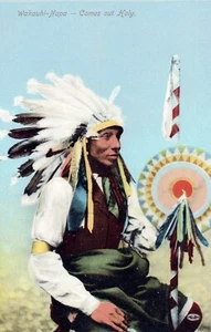Wakauhi-Napa Comes out Holly Native American Indian Postcard - Picture 1 of 2