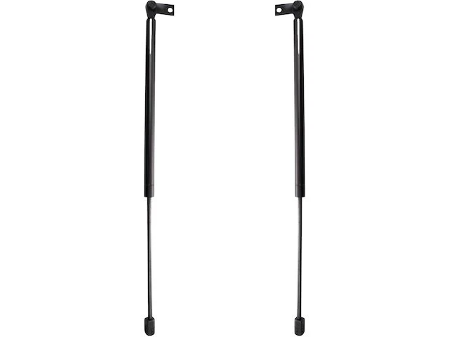 Juego de soporte de elevación de puerta levadiza para Honda Accord Wagon 1994-1997 1995 1996 PQ534GQ Foto 1 de 1