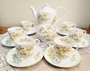 Shelley China 15pc Complete Coffee Set 2549 Crocosmia Orange Blossoms - Picture 1 of 13