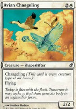 AVIAN CHANGELING X4 4 4X Lorwyn MTG Magic the Gathering Cards DJMagic
