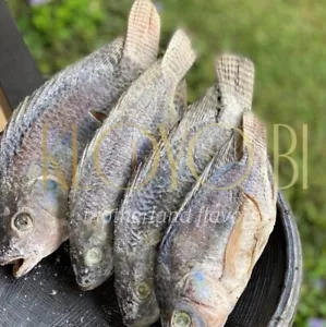 Salted & Cured Tilapia (Kobi) 500g - Picture 1 of 1