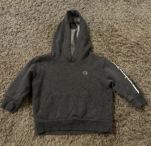 Champion hoodie, Boys Girls Infants size 18 months, gray EUC - Picture 1 of 2