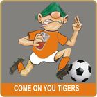 Come on you Tigers Hull Pin Badge