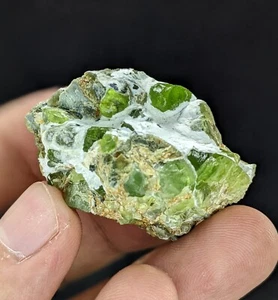 Muestra de cristal de peridoto natural de la mina Sapat Pakistán 18x18 mm (video interior) - Imagen 1 de 12