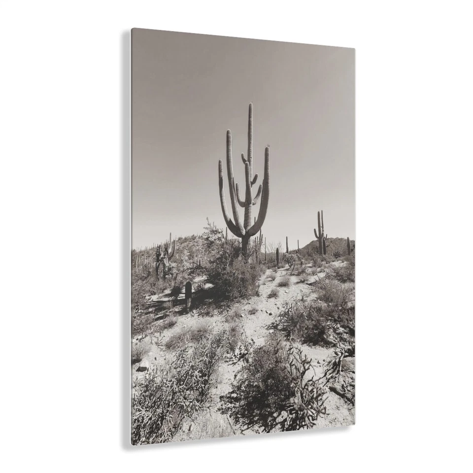 Impresión acrílica del Salvaje Oeste.  Decoración de pared paisaje desierto de Sonora. Foto 1 de 1