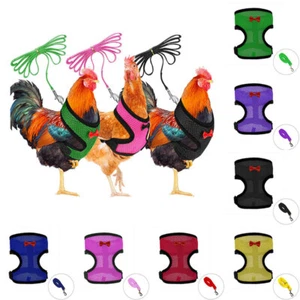 Adjustable Chicken Harness with Leash for Chicken Duck Traning Walking Hen Vest✔ - Picture 1 of 19