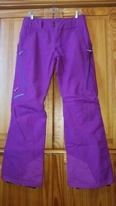 Patagonia Wmns 2-L Gore-Tex Slim Insul. Powderbowl Pants IKAT PURPLE M Ret. $379 - Picture 1 of 16