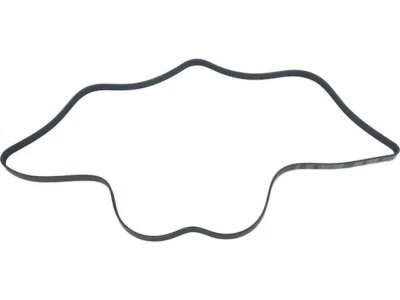 Cinturón multi costilla para GMC Savana 1500 1999-2010 API 75932DH 2000 2001 2002 2003 Foto 1 de 2