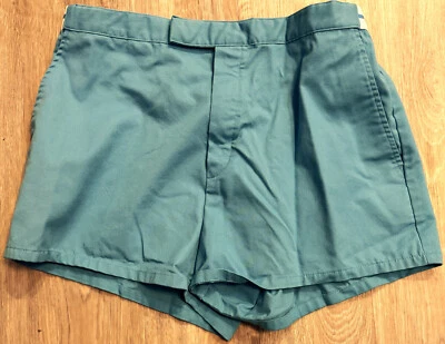 Pantalones Cortos Tenis Jantzen Años 70 De Colección Verde Azulado Bjorn Borg Para Hombres 38 Hechos en EE. UU. Foto 1 de 4