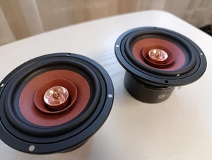 Coppia 2 Speaker Full Range  4" 30W 4Ω HiFi  Audio Speaker Vocal Jolooyo Hi End - Imagen 1 de 4