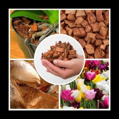 Natural Coconut Husk Dry Chips; Orchids, Anthurium Growing Media Fiber; 25 g - Image 1 of 4