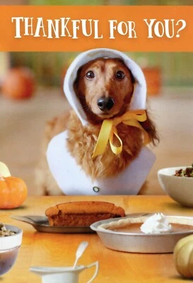 Funny THANKSGIVING Greeting Card, Dachshund Dog Dinner Table Pie by Hallmark +✉ - Image 1 of 4