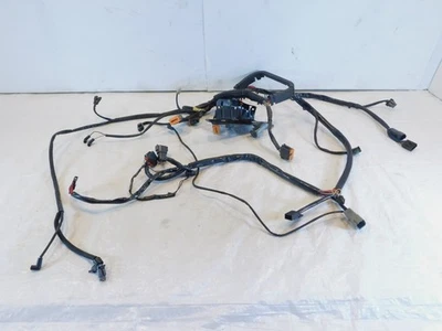 Arnés de cableado principal Harley Davidson Softail Heritage Classic & Fat Boy 03 Foto 1 de 4