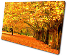 Landscapes Autumn Trees SINGLE CANVAS WALL ART Picture Print VA